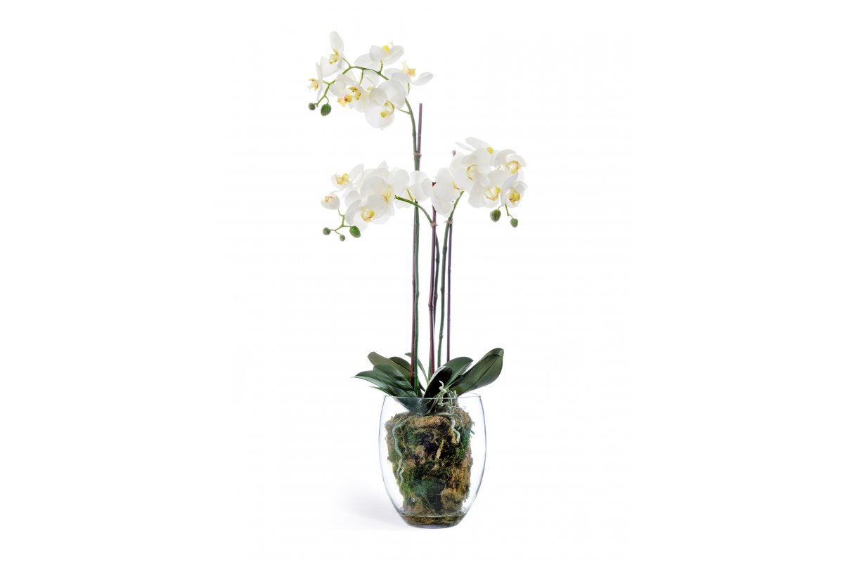 Композиция Орхидея Фаленопсис с мхом, корнями, землей искусственная белая 85 см (Real Touch)