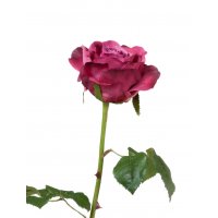 Роза Варди искусственная темная фуксия 58 см