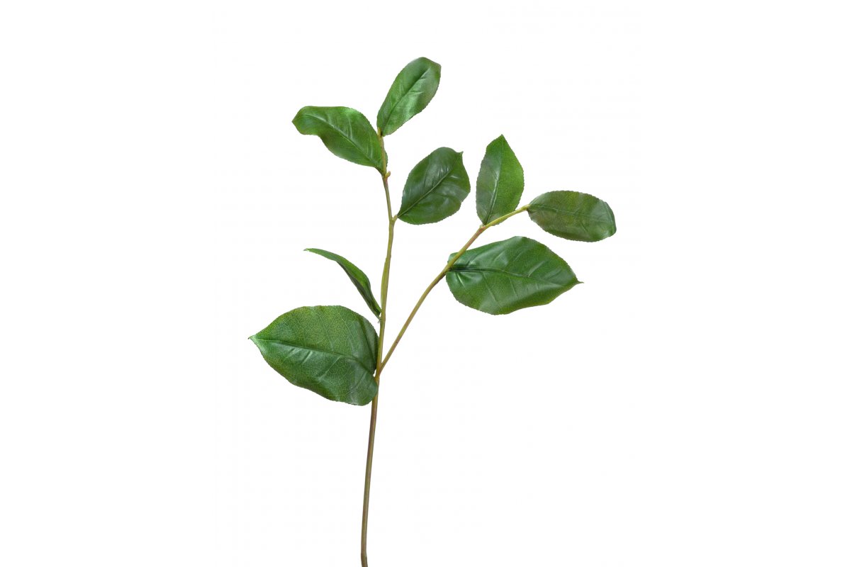 Ветвь Салала с зелеными листами искусственная 40 см