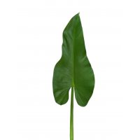 Лист Каллы искусственный зеленый 59 см