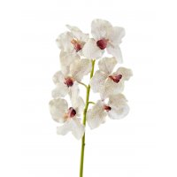 Орхидея Ванда искусственная крем с крапинами бордо 56 см (Real Touch)