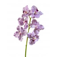 Орхидея Ванда искусственная бело-фиолетовая 56 см (Real Touch)