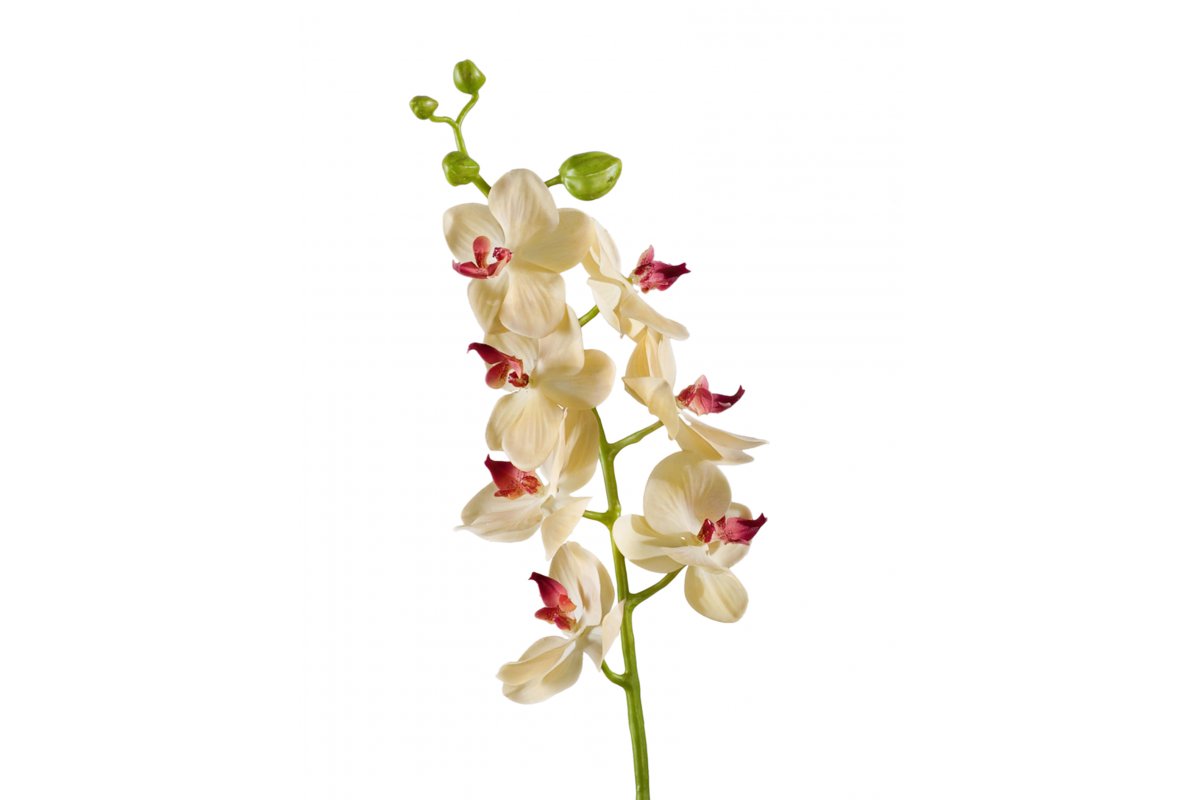 Орхидея Фаленопсис Элегант искусственная бледно-золотистая 70 см (Real Touch)