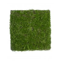 Мох Микс Рясковый Сфагнум искусственный зеленый 90 x 100 см (полотно)