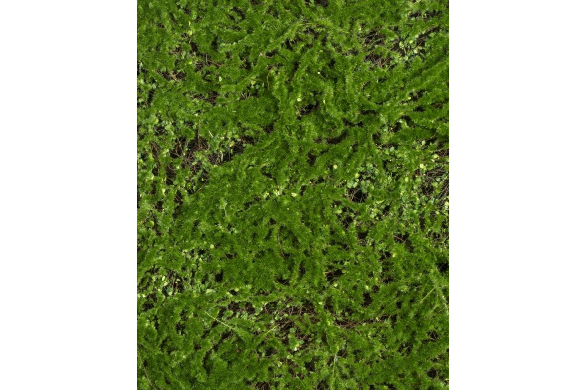 Мох Микс Рясковый Сфагнум искусственный зеленый 100 x 100 см (полотно) - Фото 2