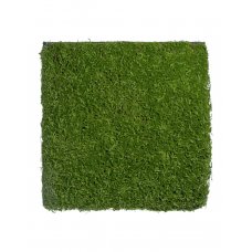 Мох Сфагнум искусственный зеленый 100 x 100 см (полотно)