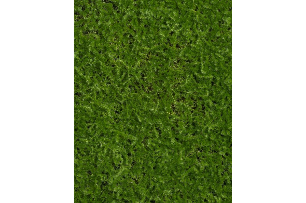 Мох Сфагнум искусственный зеленый 100 x 100 см (полотно) - Фото 2