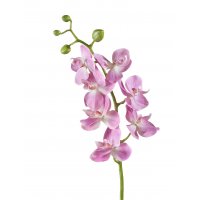 Орхидея Фаленопсис Элегант искусственная  розово-белая 70 см (Real Touch)