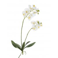 Орхидея Фаленопсис искусственная белая куст с корнями 82 см (Real Touch)