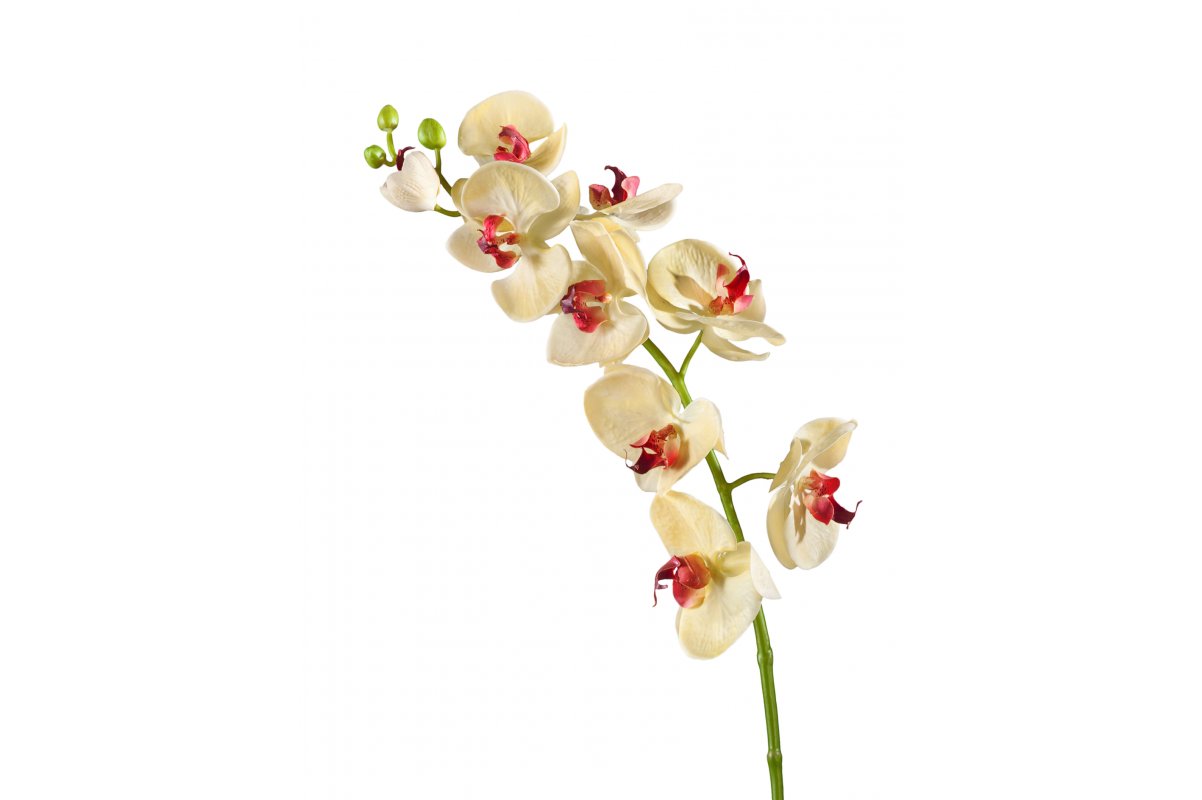 Орхидея Фаленопсис Мидл искусственная бледно-золотистая с бордо 76 см (Real Touch)