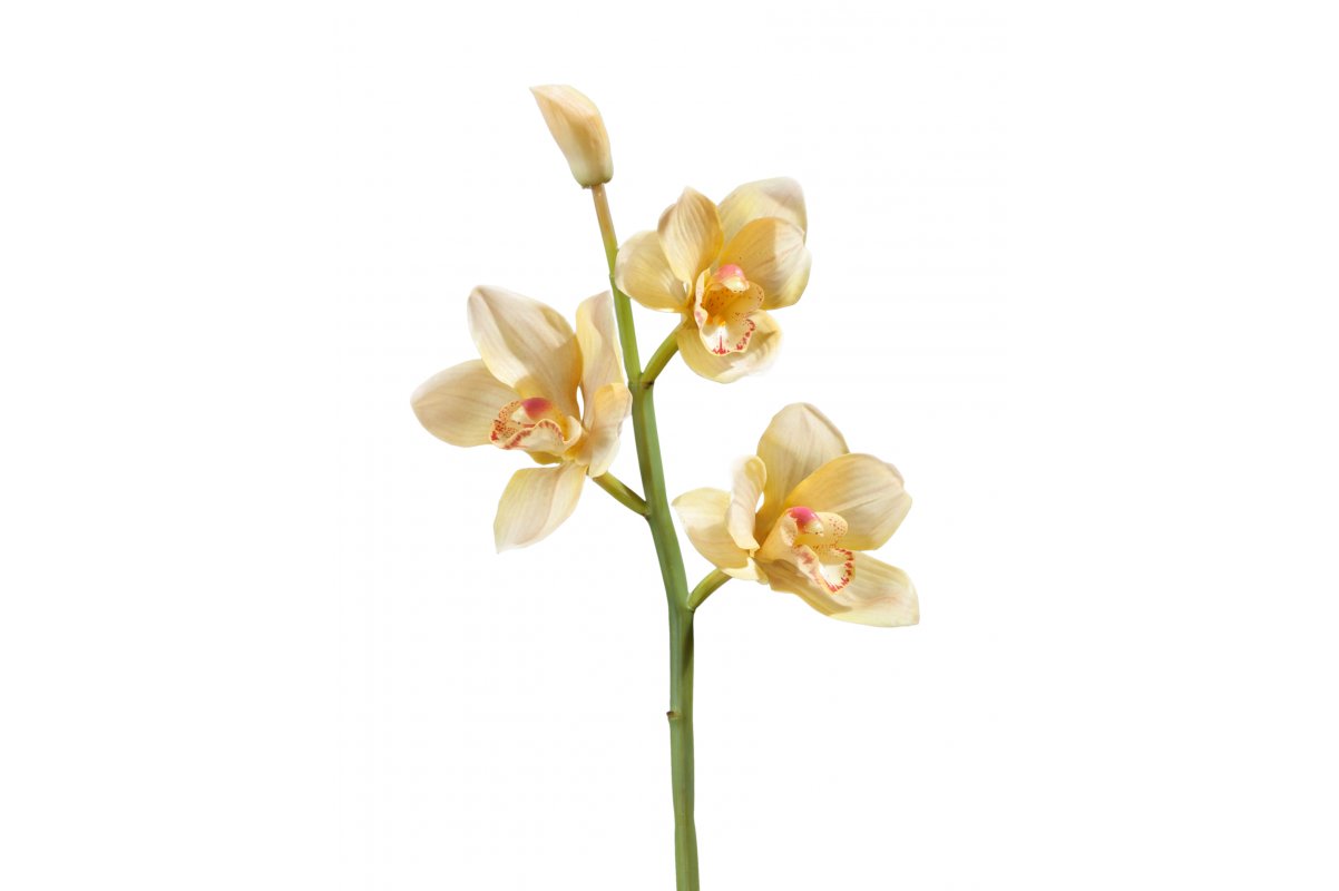 Орхидея Цимбидиум искусственная ветвь нежно золотистая малая 50 см (Real Touch)