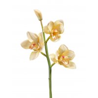 Орхидея Цимбидиум искусственная ветвь нежно золотистая малая 50 см (Real Touch)