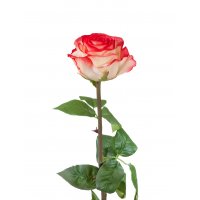 Роза Соло Нью большая искусственная кремовая с розовым 72 см