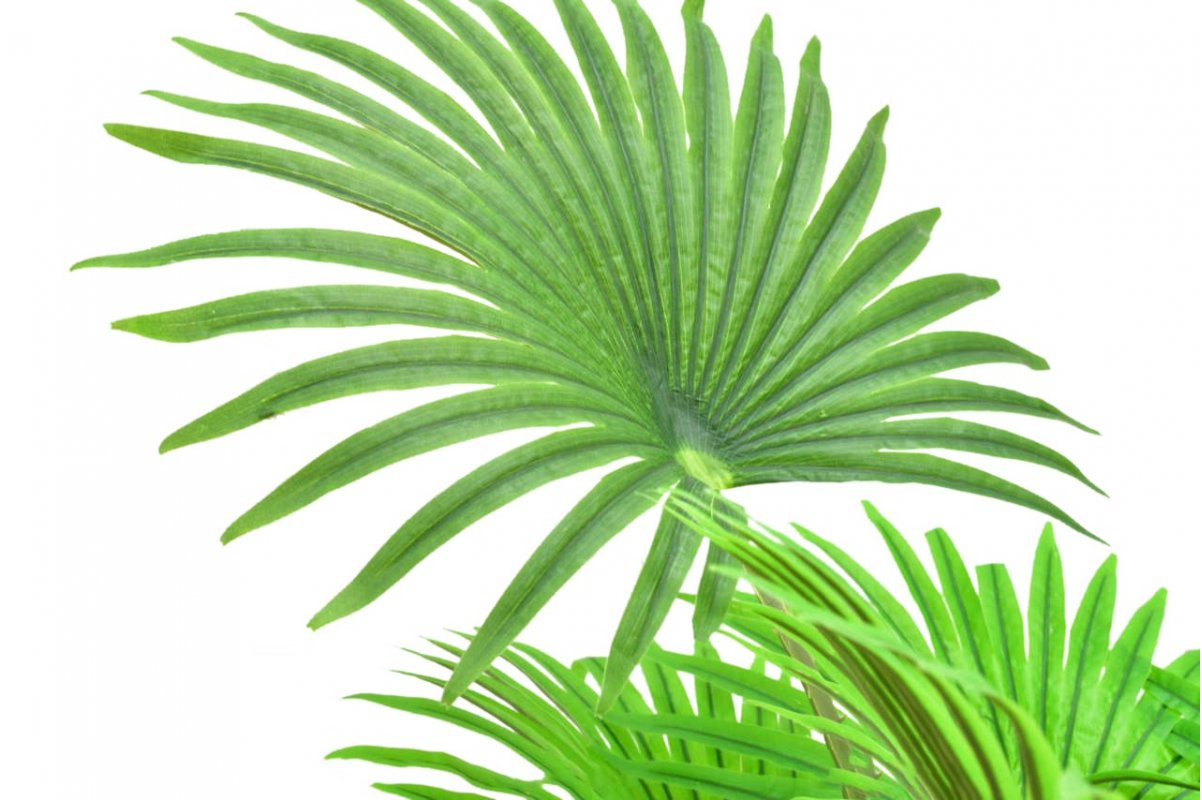 Пальма Вашингтония искусственная веерная в кашпо 110 см - Фото 2