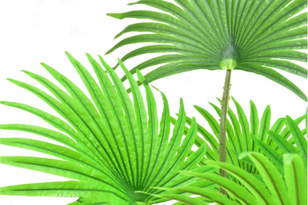 Пальма Вашингтония искусственная веерная в кашпо 110 см - Фото 3