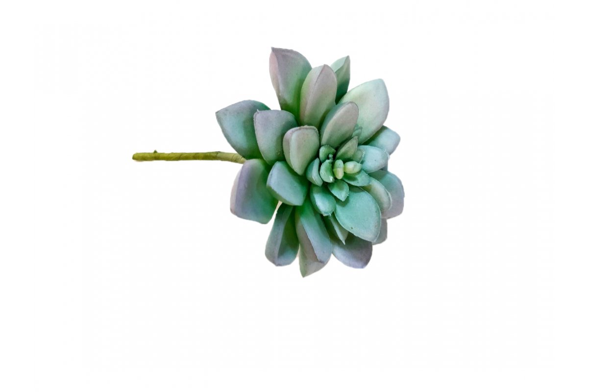 Суккулент Эхеверия Десмета искусственный зеленый 8 см (Real Touch) - Фото 2