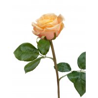 Роза Флорибунда Мидл искусственная кремово-персиковая 34 см