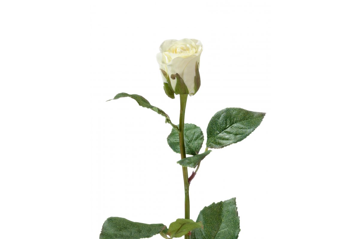 Роза Анабель искусственная бело-зеленая 52 см