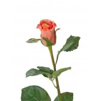 Роза Анабель искусственная розово-персиковая 52 см