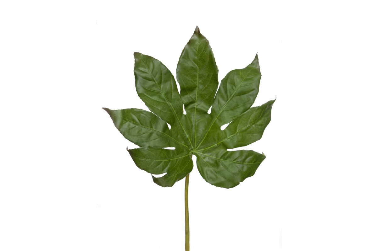 Фатсия лист малый искусственная зеленая 50 см