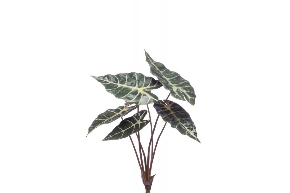 Алоказия куст 6 листов искусственный зеленый 40 см