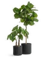 керамический горшок