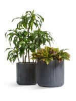 Кашпо напольное для цветов, TREEZ ERGO Jet, цилиндр, керамический горшок, Дымчато-серый бетон, 45x45 см, 72 л, для интерьера, для улицы — изображение 3