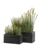 Черный графит