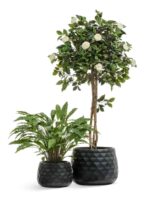 керамический горшок