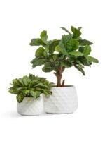 керамический горшок