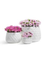 Белый камень