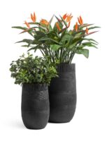 керамический горшок