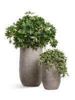 керамический горшок