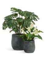 керамический горшок