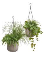 керамический горшок