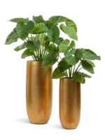 сусальное золото