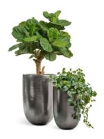 Стальное серебро