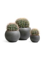 керамический горшок