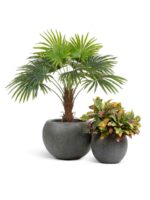 для интерьера