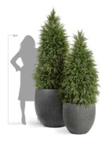 тёмно-серый камень