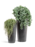 Тёмно-серый бетон