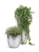 серебряный