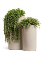 Белый песок