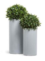 Серый ледник