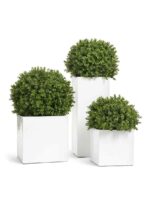 для интерьера