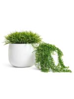 керамический горшок