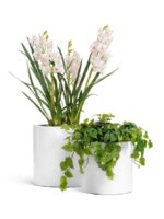 Белый гланцевый лак