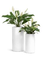 Белый гланцевый лак