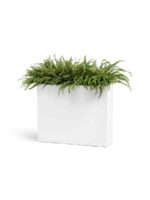 Белый гланцевый лак