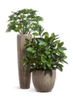 для интерьера